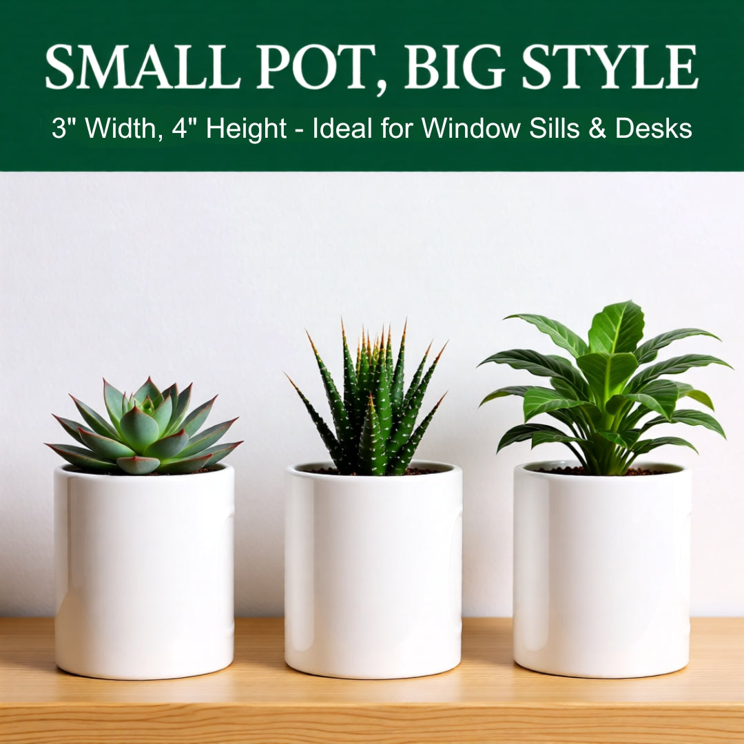 Sunshine Sister Ceramic Pot