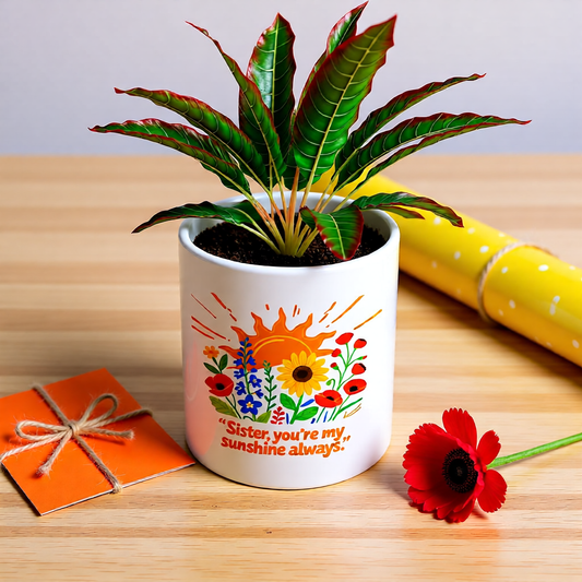 Sunshine Sister Ceramic Pot
