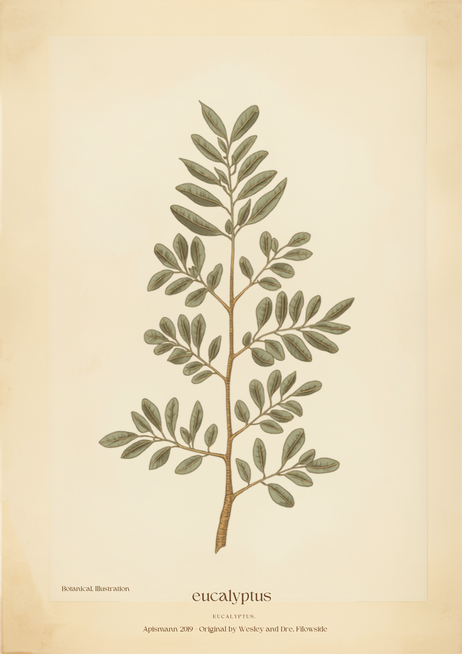 Vintage Botanical Eucalyptus Print with brand watermark