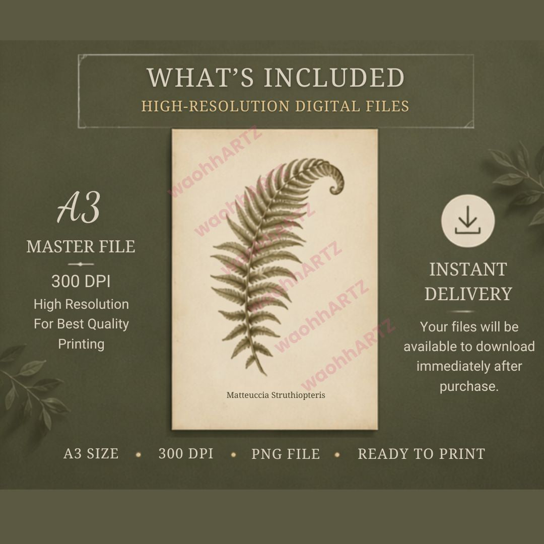 Vintage Botanical Fern Print — Instant Download — Antique Scientific Plate Style Wall Art A3 — Living Room Entryway Decor