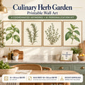 Culinary Herb Garden set of 4 printable artworks displayed in a sage kitchen, pantry wall or breakfast area; 24 by 30 inches at 300 PPI, up to 40 by 50 inches at 180 PPI for farther viewing.