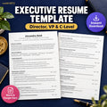 Executive resume template director VP C-level Word Google Docs