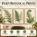 Fern Study Collection printable wall art displayed in an office, 3 2:3 artworks.